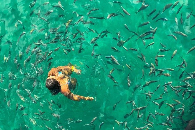 Passeios Rio de Janeiro, Angra dos Reis